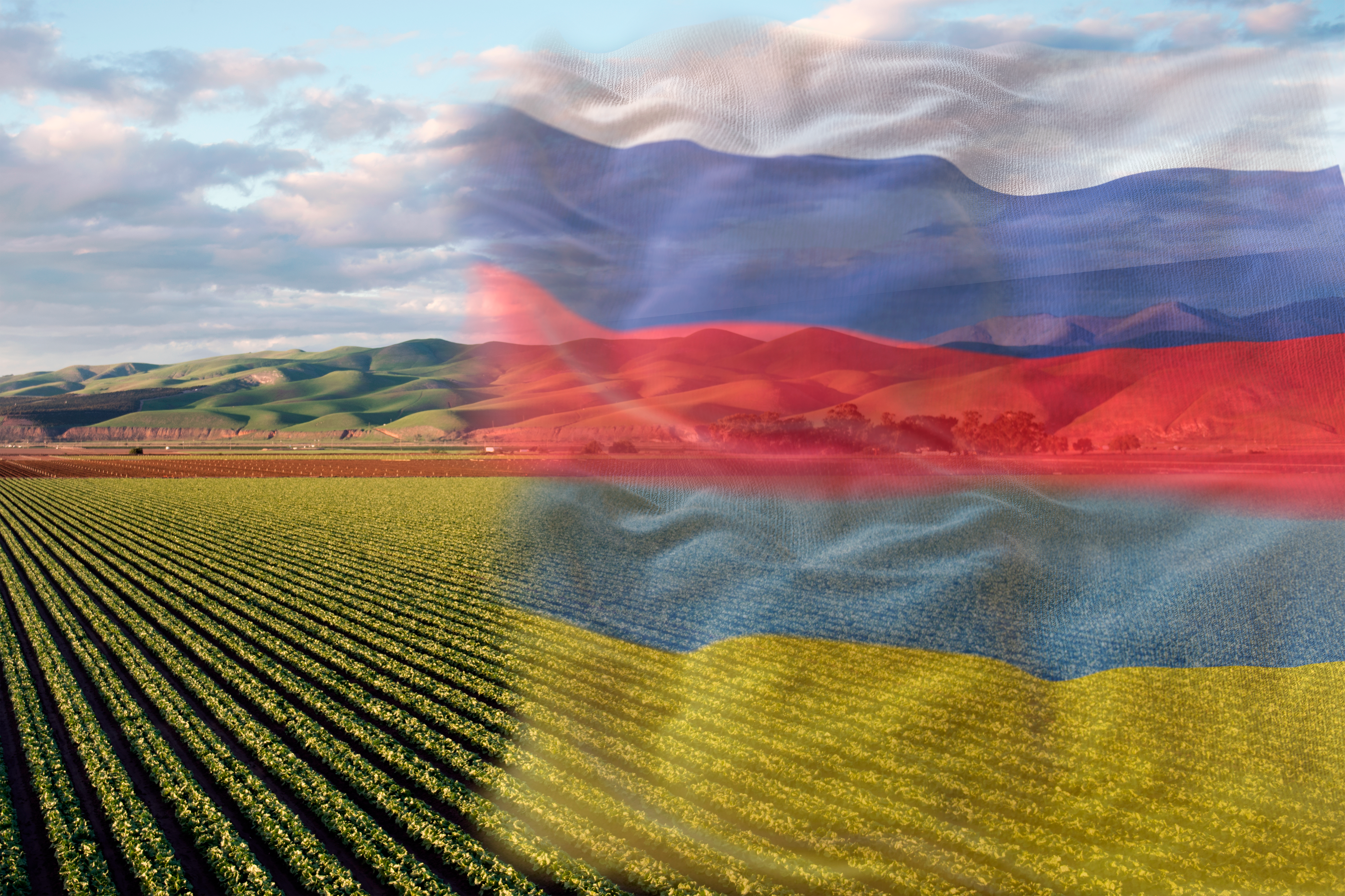 Influência da guerra entre Rússia e Ucrânia gera escassez de fertilizantes